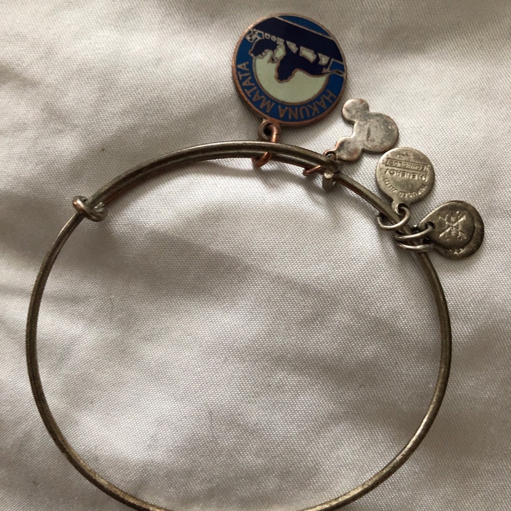 Alex and Ani Disney Lion King Bracelet